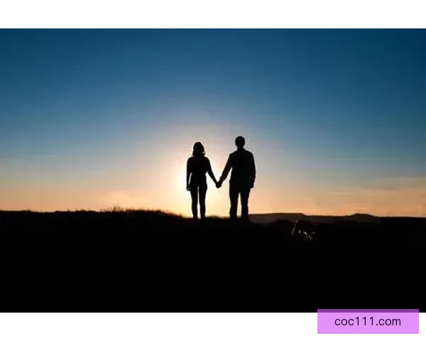 从相识到相爱的网站情侣记录数字时代的浪漫成长故事真实与陪伴轨迹